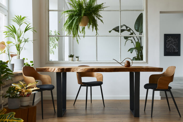 Live edge dining table in Ottawa with natural wood grain and black steel legs, surrounded by modern chairs and indoor plants.