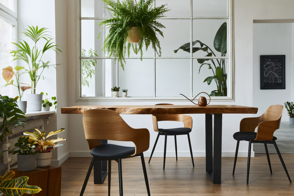 Modern dining room featuring a handcrafted live edge table in Ottawa with wooden chairs and lush indoor plants.